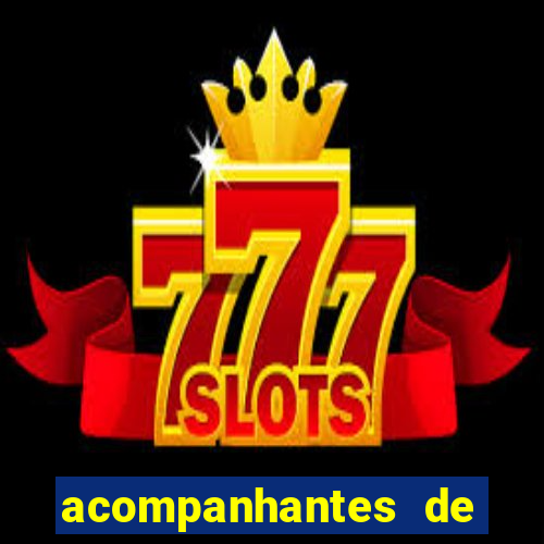 acompanhantes de luxo sc